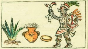 The making of pulque, as illustrated in the Florentine Codex